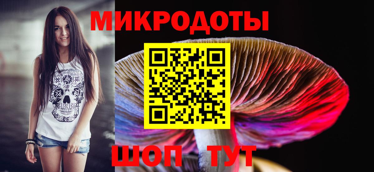 Псилоцибиновые грибы мицелий  Псилоцибиновые грибы Psilocybine cubensis  Богданович  Вход с VPN 