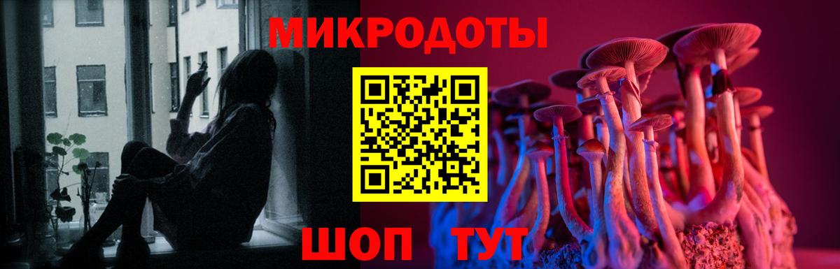 Галлюциногенные грибы мицелий Богданович