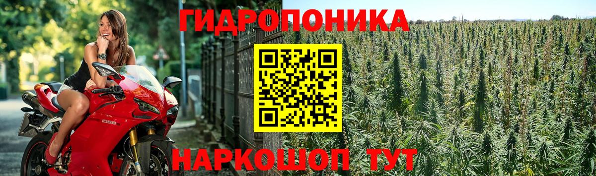 МАРИХУАНА гибрид Богданович